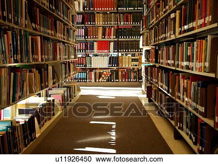 View of the bookshelves in a library. View Large Photo Image Stock Image - View of the bookshelves in a library.. Fotosearch