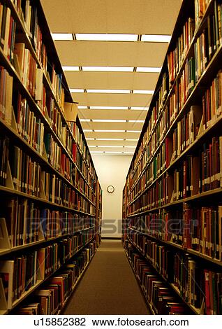 View of the bookshelves in a library. View Large Photo Image Stock Image - View of the bookshelves in a library.. Fotosearch