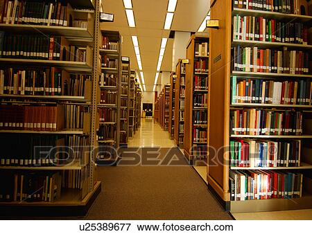 View of the bookshelves in a library. View Large Photo Image Stock Photo - View of the bookshelves in a library.. Fotosearch