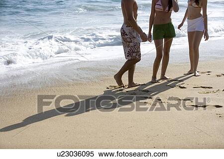 Young adult people on beach, Front View, Side View View Large Photo Image Stock Photography - Young adult people on beach, Front View, Side View. Fotosearch