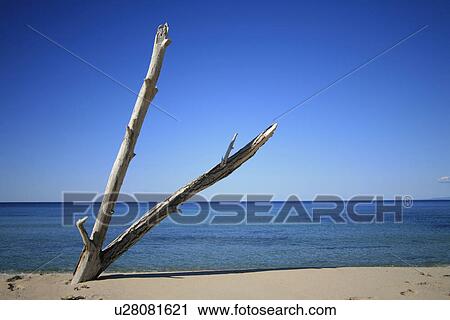 Stock Image - beach, blue, clear, closer, dream beach, gallura. Fotosearch