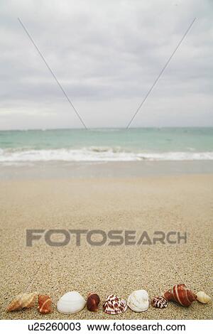 blasen, allemagne, array, banks, bavaria, beach View Large Photo Image Stock Image - blasen, allemagne, array, banks, bavaria, beach. Fotosearch