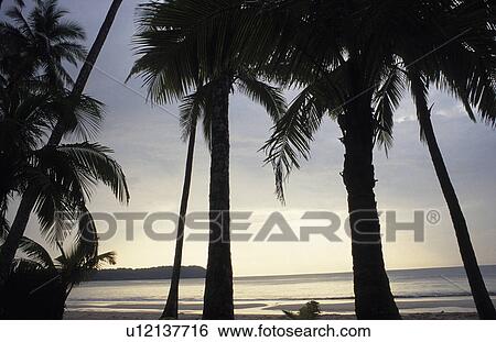 coast, beach, cellar, blauphoton, beautiful, alexander View Large Photo Image Stock Photograph - coast, beach, cellar, blauphoton, beautiful, alexander. Fotosearch
