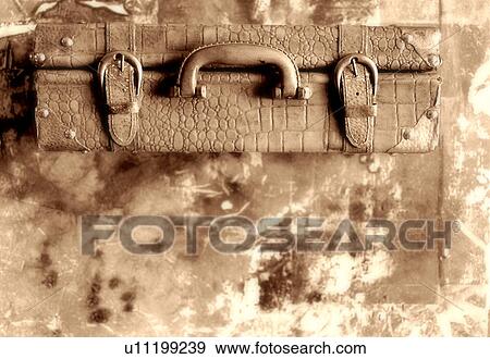 beige, brown, dupuis, francois View Large Photo Image Stock Photo - beige, brown, dupuis, francois. Fotosearch
