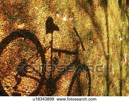 bicycle, day, bike, bicycles, autumn View Large Photo Image Stock Photo - bicycle, day, bike, bicycles, autumn. Fotosearch