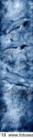 blue, composition, close-up, CLOSE, animals View Large Photo Image Stock Photo - blue, composition, close-up, CLOSE, animals. Fotosearch