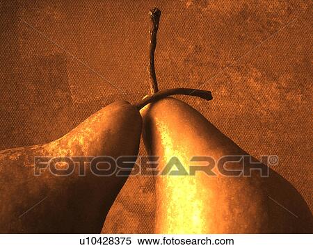 brown, aridity, blossom, blooms, bloom, CLOSE, abloom View Large Photo Image Stock Photography - brown, aridity, blossom, blooms, bloom, CLOSE, abloom. Fotosearch