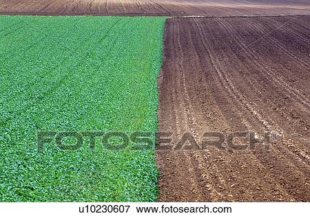 A field half plowed View Large Photo Image Stock Photo - A field half plowed. Fotosearch