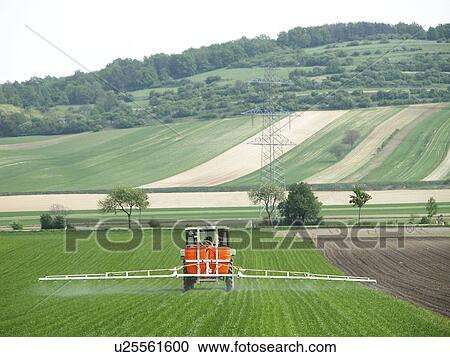 agriculture, Austria, alfred, agroindustry, acre View Large Photo Image Stock Image - agriculture, Austria, alfred, agroindustry, acre. Fotosearch
