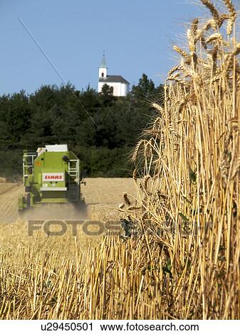 apparatus, agricultural, alfred, agroindustry, agriculture, acre View Large Photo Image Stock Image - apparatus, agricultural, alfred, agroindustry, agriculture, acre. Fotosearch