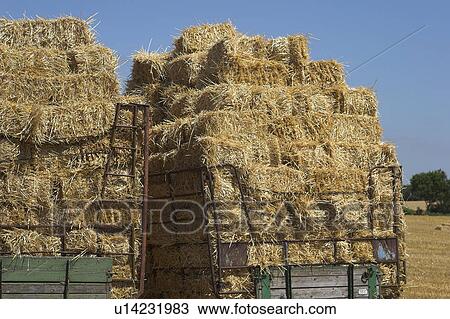 ballen, wagen, agriculture, blue, day, field View Large Photo Image Stock Image - ballen, wagen, agriculture, blue, day, field. Fotosearch