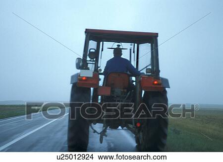 cow, agriculture, Bernhard, back view, agroindustry, abenddaemmerung View Large Photo Image Picture - cow, agriculture, Bernhard, back view, agroindustry, abenddaemmerung. Fotosearch