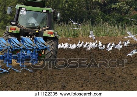 erde, acre, agricultural, agriculture, agroindustry, alfred View Large Photo Image Stock Photography - erde, acre, agricultural, agriculture, agroindustry, alfred. Fotosearch
