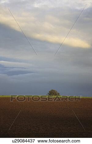 erde, acre, agriculture, arno, behind, bottom View Large Photo Image Stock Photo - erde, acre, agriculture, arno, behind, bottom. Fotosearch