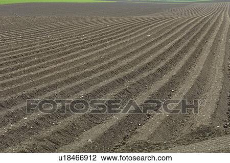 erde, anbau, acre, agriculture, berne, brown, burgdorf View Large Photo Image Stock Image - erde, anbau, acre, agriculture, berne, brown, burgdorf. Fotosearch