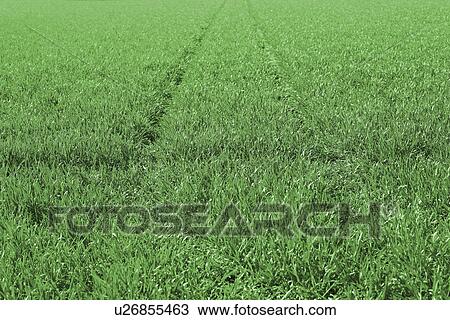 Farmland View Large Photo Image Stock Image - Farmland. Fotosearch