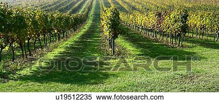 field, agriculture, farming, day, agroindustry, green, acre View Large Photo Image Stock Photography - field, agriculture, farming, day, agroindustry, green, acre. Fotosearch