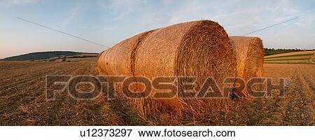 Round bails of hay in a field View Large Photo Image Stock Photo - Round bails of hay in a field. Fotosearch