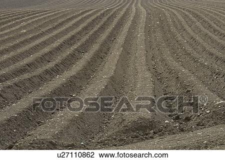 Tilled soil View Large Photo Image Stock Image - Tilled soil . Fotosearch