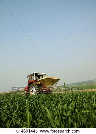 Tractor in a corn field View Large Photo Image Stock Photography - Tractor in a corn field. Fotosearch