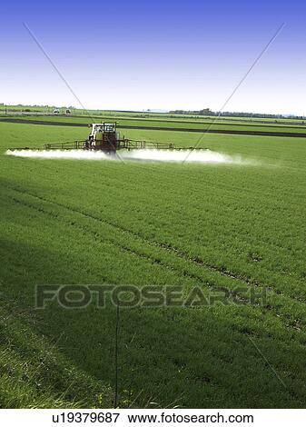 Tractor spraying the fields View Large Photo Image Stock Photo - Tractor spraying the fields. Fotosearch