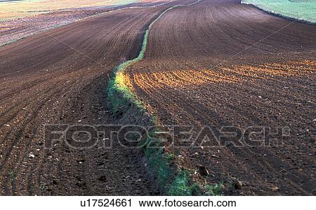 Stock Image - waldviertel, erde, acre, agriculture, austria, brown, calf. Fotosearch