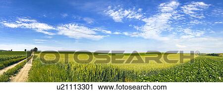 Wide angle farm field View Large Photo Image Stock Image - Wide angle farm field. Fotosearch