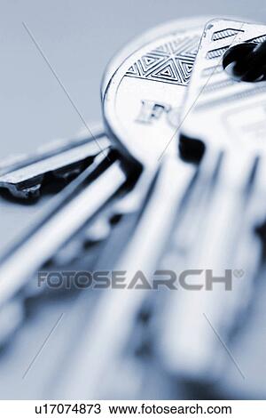burkhard, CLOSE, close-up, gray, grey View Large Photo Image Stock Image - burkhard, CLOSE, close-up, gray, grey. Fotosearch