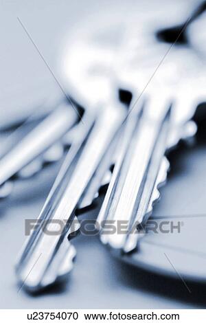 Stock Image - burkhard, CLOSE, close-up, gray, grey. Fotosearch