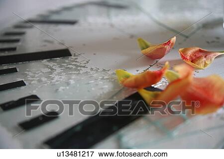 Stock Photo - delay, blooms, decay, David, clock, age. Fotosearch