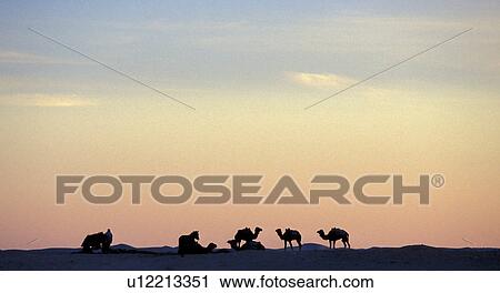 arabian, Africa, animals, African, africa, abenddaemmerung View Large Photo Image Stock Image - arabian, Africa, animals, African, africa, abenddaemmerung. Fotosearch