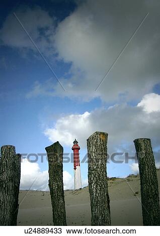Stock Image - bad, banks, beach, beige, bough, branch, brown. Fotosearch