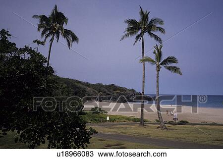 badegaeste, beach, bigisland, blue, cloudless, holiday View Large Photo Image Stock Image - badegaeste, beach, bigisland, blue, cloudless, holiday. Fotosearch