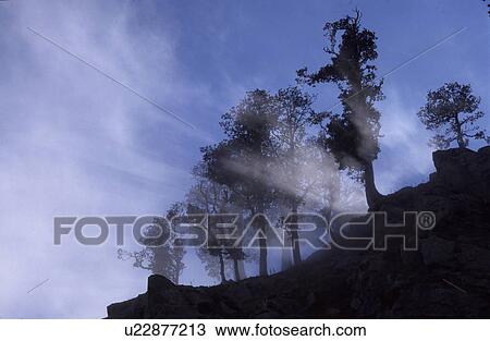 beam, climate change, climatic heating, climatic protection, dharamsala, dietmar, dietmartschabrun View Large Photo Image Stock Image - beam, climate change, climatic heating, climatic protection, dharamsala, dietmar, dietmartschabrun. Fotosearch