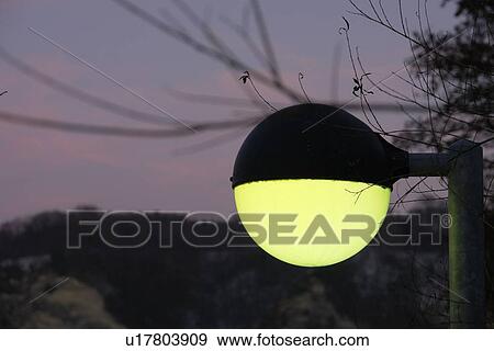 Stock Photo - branches, attachment, berne, ball, background, bright, abenddaemmerung. Fotosearch