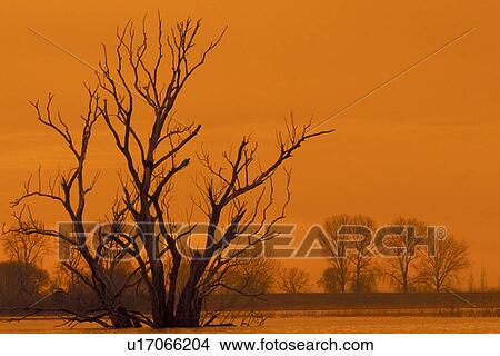Picture - broken, climatic change, Christian, abenddaemmerung. Fotosearch