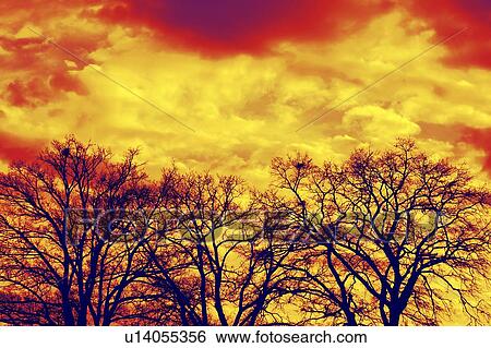clouds, czech, daylight, drama TIC, landscape, nature View Large Photo Image Stock Photograph - clouds, czech, daylight, drama TIC, landscape, nature. Fotosearch