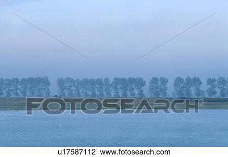 grove, blue, France, coast, calf, landscape, alley View Large Photo Image Stock Image - grove, blue, France, coast, calf, landscape, alley. Fotosearch
