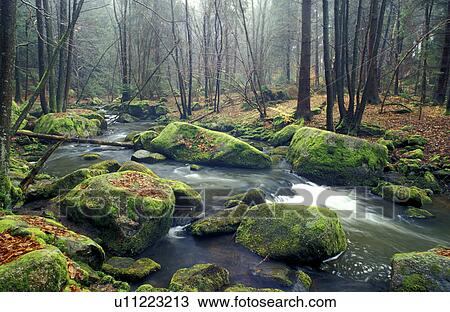 bach, Christian, brooks, autumn View Large Photo Image Stock Image - bach, Christian, brooks, autumn. Fotosearch