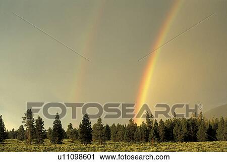 Stock Image - blue, Christian, day, farmer. Fotosearch