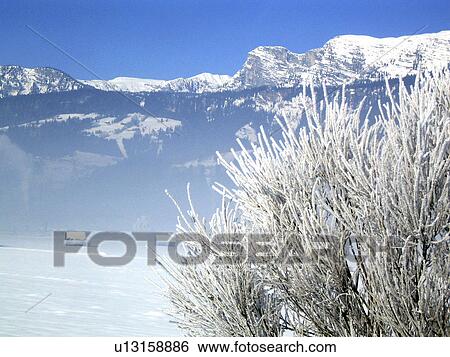 cold, jane, hut roof, freezes, Austria View Large Photo Image Stock Photograph - cold, jane, hut roof, freezes, Austria. Fotosearch