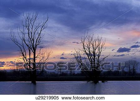 Danube, blue, cloudy, cloud, Christian, abenddaemmerung View Large Photo Image Stock Photography - Danube, blue, cloudy, cloud, Christian, abenddaemmerung. Fotosearch