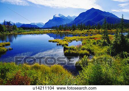 Picture - day, america, Canada, canada, blue, forest, America. Fotosearch