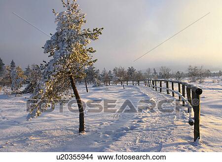 fence, black, evening atmosphere, cold, bright, FRG, away View Large Photo Image Picture - fence, black, evening atmosphere, cold, bright, FRG, away. Fotosearch