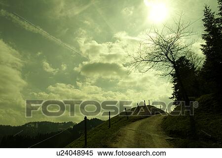 meadows, panorama, green, swiss, typical, nature, mountains View Large Photo Image Stock Photography - meadows, panorama, green, swiss, typical, nature, mountains. Fotosearch