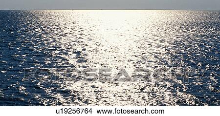 calf, coast, evening light, flevoland, glitter, Netherlands, reflect View Large Photo Image Picture - calf, coast, evening light, flevoland, glitter, Netherlands, reflect. Fotosearch