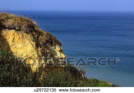 calf, coast, evening light, France, holiday, landscape, nature View Large Photo Image Stock Photography - calf, coast, evening light, France, holiday, landscape, nature. Fotosearch