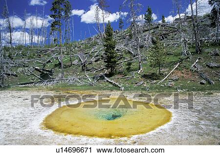 Environmental pollution View Large Photo Image Stock Image - Environmental pollution. Fotosearch