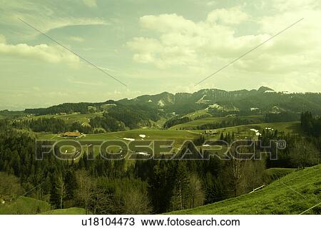 panorama, meadows, green, yellow, nature, mountains, mountain View Large Photo Image Stock Image - panorama, meadows, green, yellow, nature, mountains, mountain. Fotosearch