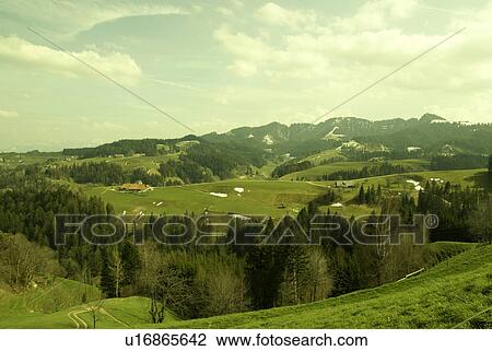 Stock Image - panorama, meadows, grÅ¸n, yellow, green, nature, mountains. Fotosearch